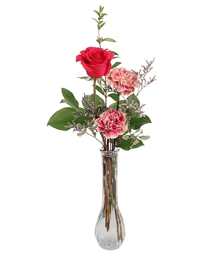 Hot Pink Dream Rose Arrangement
