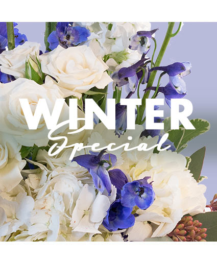 Winter Special Designer's Choice
